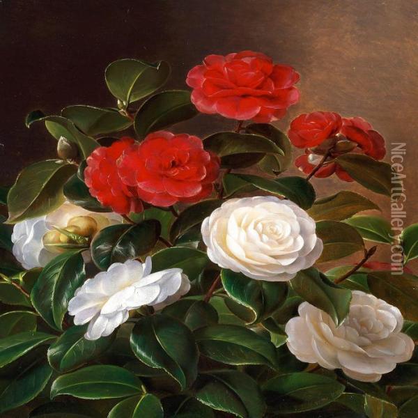 Red And White Camellia Oil Painting - I.L. Jensen