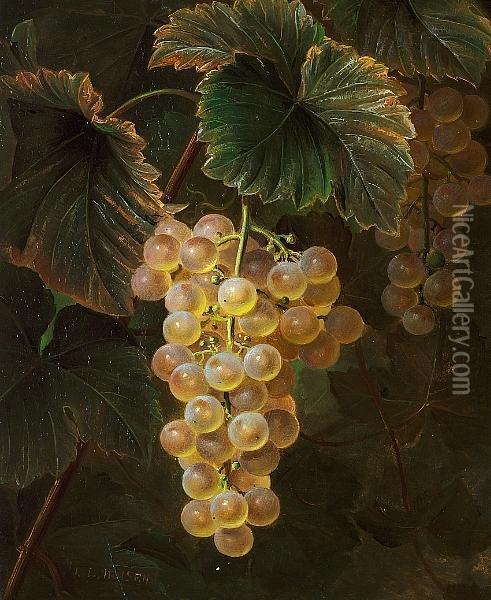 A Cluster Of Green Grapes Oil Painting - Johan Laurentz Jensen