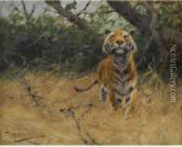 Sichernder Tiger (tiger On The Watch) Oil Painting - Wilhelm Kuhnert