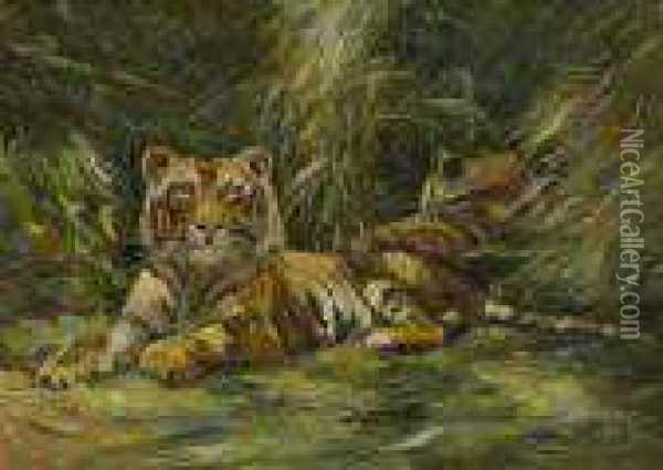 Zwei Tiger Im Gras. Oil Painting - Wilhelm Kuhnert