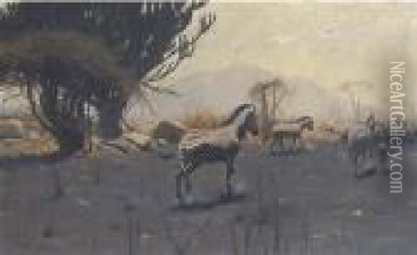 Zebra Oil Painting - Wilhelm Kuhnert