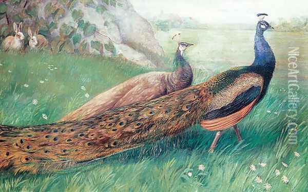 Peacocks Oil Painting - Alexander Pope