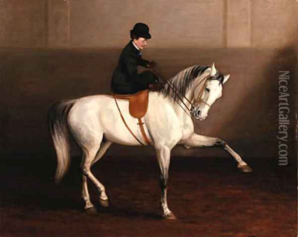 The Morning Lesson, A Lady on her Grey Horse Oil Painting - Alexander Pope