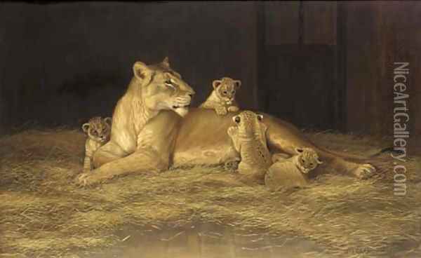 Lioness and her cubs Oil Painting - Alexander Pope