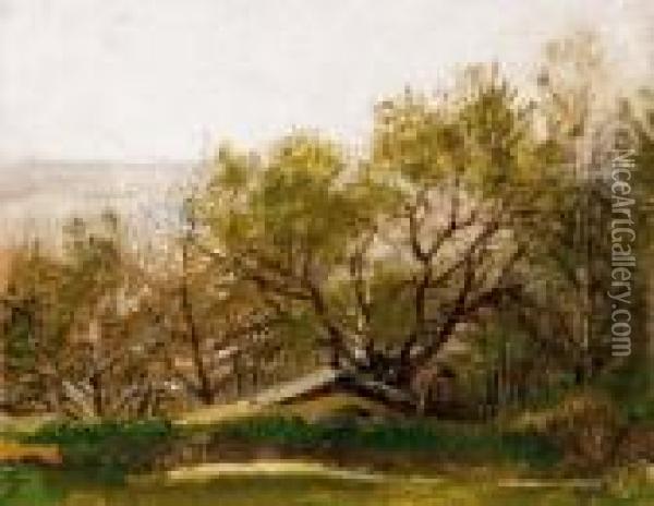 Blooming Trees Oil Painting - Laszlo Mednyanszky