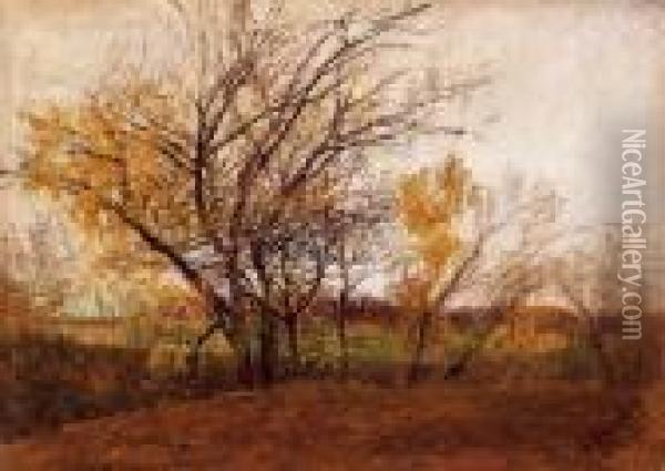 Trees In Spring Oil Painting - Laszlo Mednyanszky