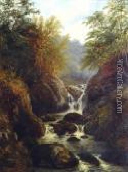Waterfall In A Wooded Ravine Oil Painting - William Mellor