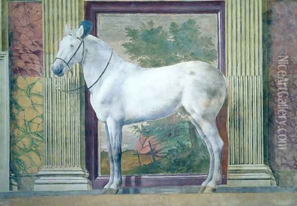 Sala dei Cavalli, detail showing a portrait of a grey horse from the stables of Ludovico Gonzaga III of Mantua, 1528 Oil Painting - Giulio Romano (Orbetto)