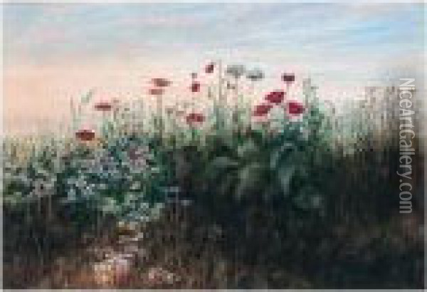A Bank Of Wild Flowers Oil Painting - Andrew Nicholl