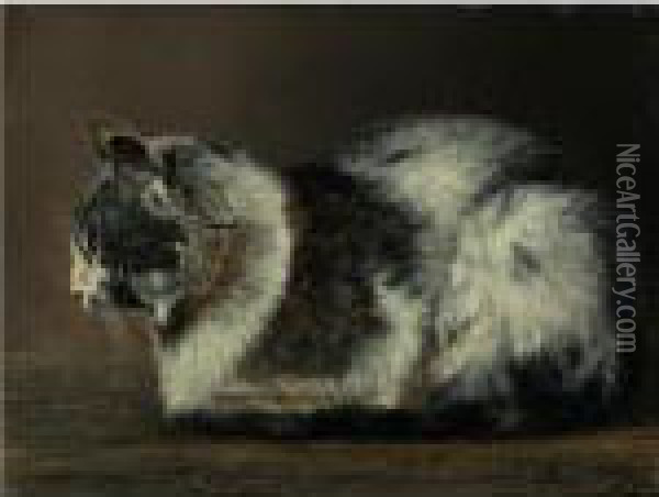 Cat Oil Painting - Ivan Pavlovich Pokhitonov