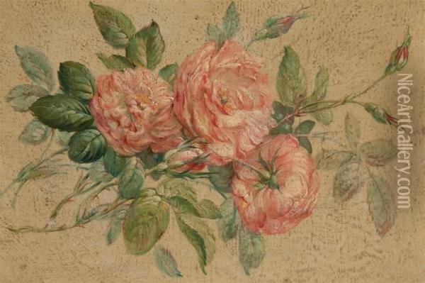 Etude De Roses Oil Painting - Pierre-Joseph Redoute