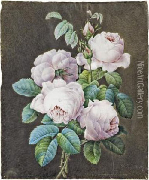 Bouquet De Roses Oil Painting - Pierre-Joseph Redoute