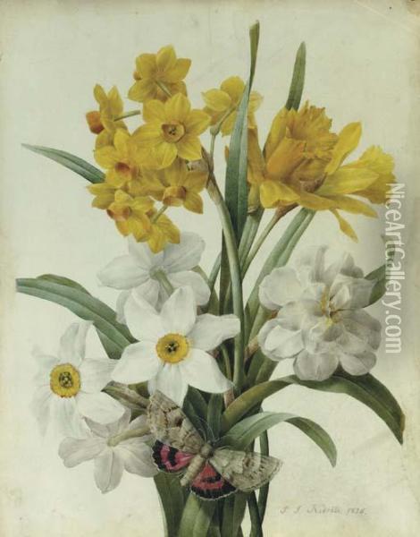 A Bouquet Of Daffodils And Narcissi With A Red Underwing Moth Oil Painting - Pierre-Joseph Redoute