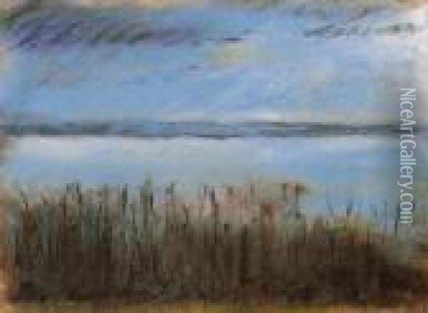 Evening By The Lake Balaton Oil Painting - Jozsef Rippl-Ronai