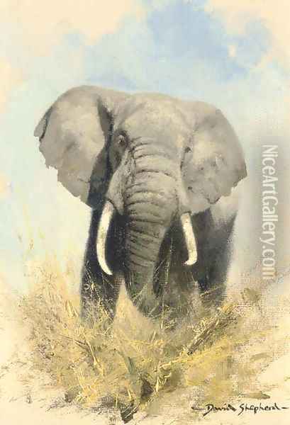 Charging elephant Oil Painting - Thomas Hosmer Shepherd