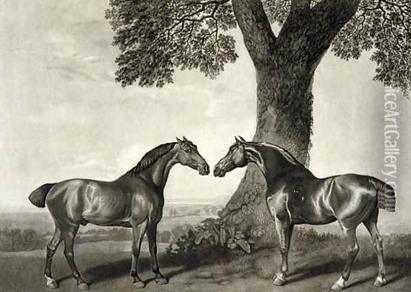Two Hunters, engraved by G.T. Stubbs bap.1748-c.1815 Oil Painting - George Stubbs
