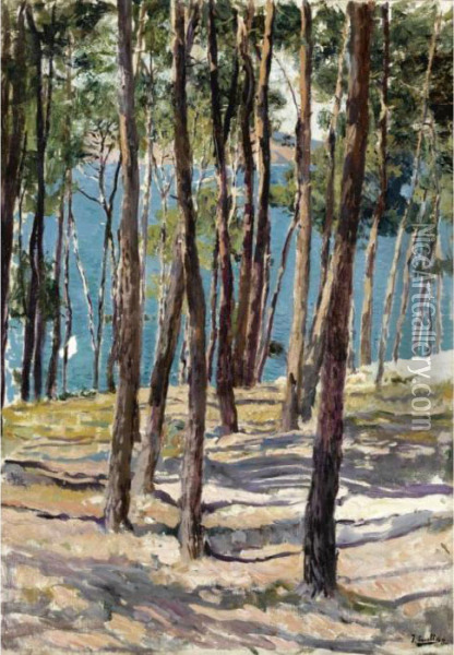 Pinos De Galicia (pine Trees, Galicia) Oil Painting - Joaquin Sorolla Y Bastida