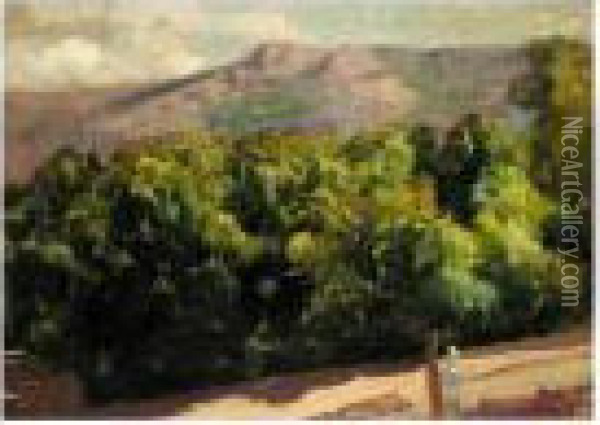 La Selva. Jardines De La Granja De San Ildefonso (gardens At San Ildefonso) Oil Painting - Joaquin Sorolla Y Bastida