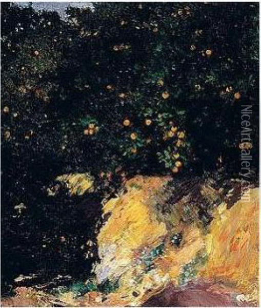 Naranjal De Alcira (orange Grove, Alcira) Oil Painting - Joaquin Sorolla Y Bastida