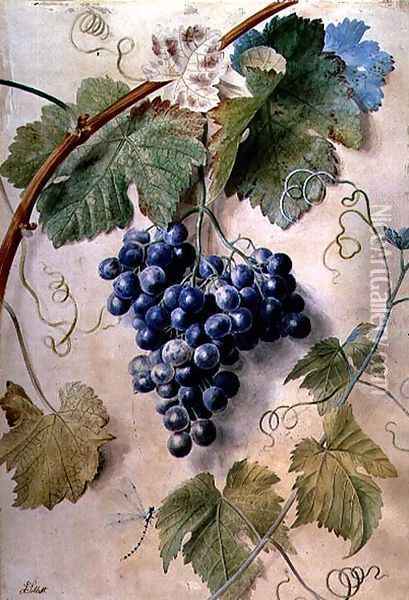 Black Grapes Oil Painting - James Sillett