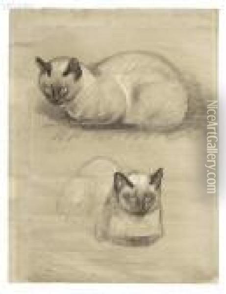 Study Of A Cat Oil Painting - Theophile Alexandre Steinlen
