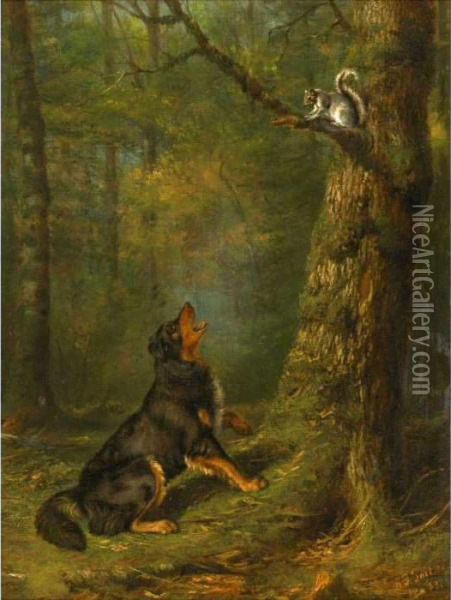 Tree'd -- Impudence Oil Painting - Arthur Fitzwilliam Tait