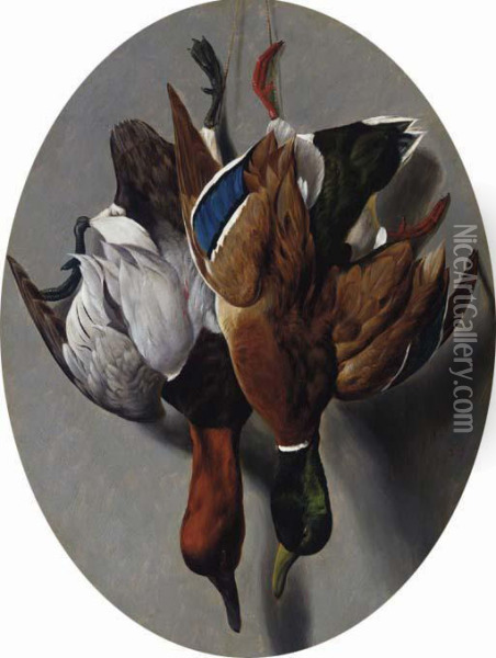 Canvasback And Mallard Oil Painting - Arthur Fitzwilliam Tait