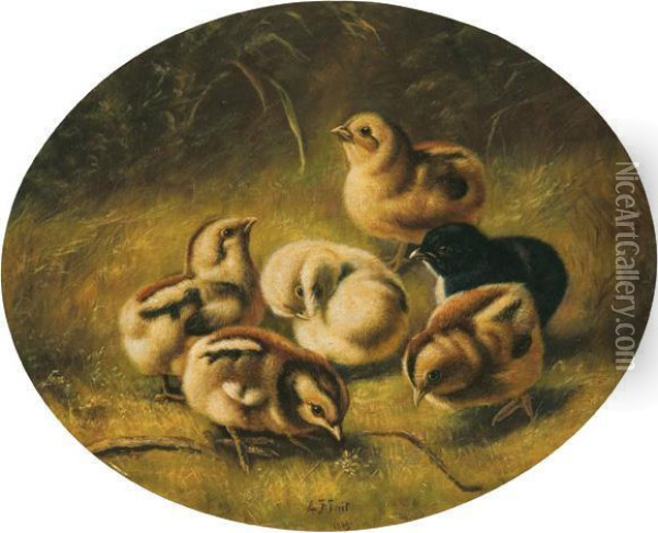Six Chicks Oil Painting - Arthur Fitzwilliam Tait