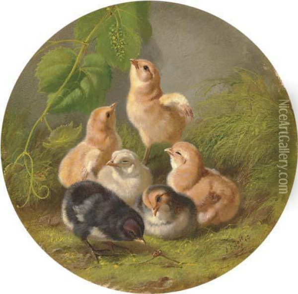 Chicks Oil Painting - Arthur Fitzwilliam Tait