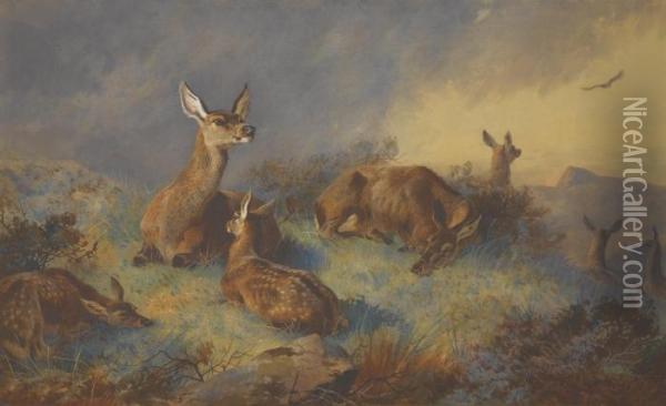 The Watchful Hinds Oil Painting - Archibald Thorburn