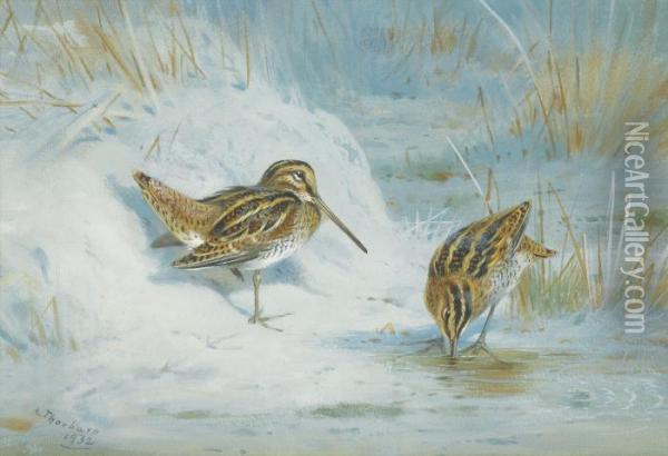 Frozen Out Snipe Oil Painting - Archibald Thorburn