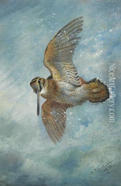 Caught In A Blizzard, Woodcock Oil Painting - Archibald Thorburn
