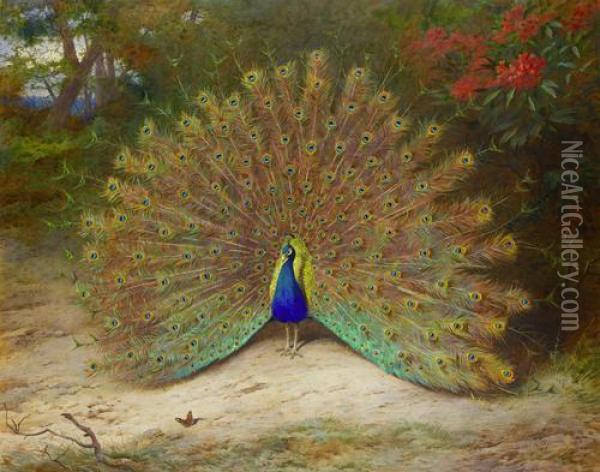 Peacock And Peacock Butterfly Oil Painting - Archibald Thorburn
