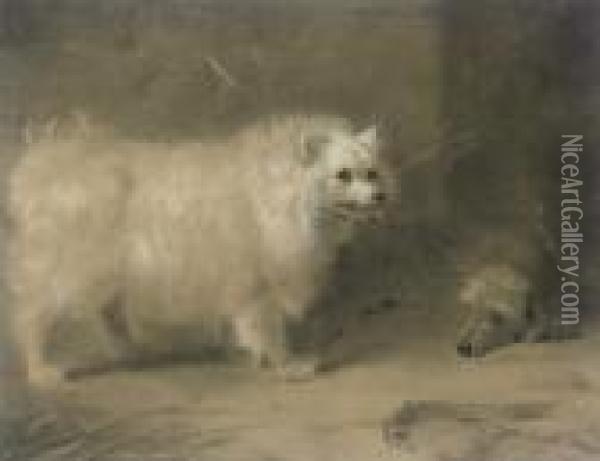 A Chow Oil Painting - Archibald Thorburn