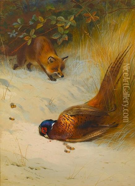 The Poacher Oil Painting - Archibald Thorburn