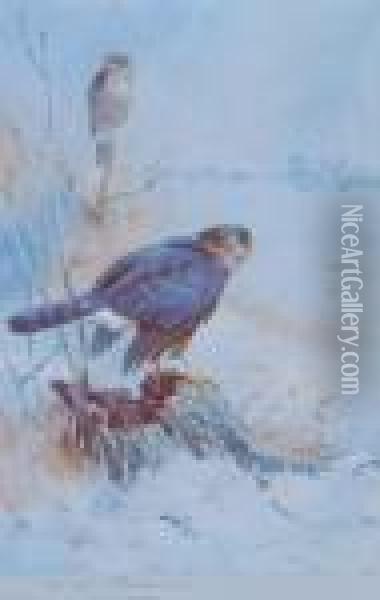 Birds Of Prey In Winter Oil Painting - Archibald Thorburn