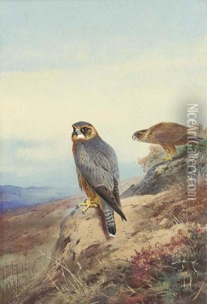 Merlin Oil Painting - Archibald Thorburn