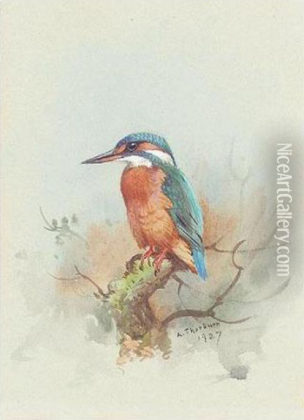 Kingfisher Oil Painting - Archibald Thorburn