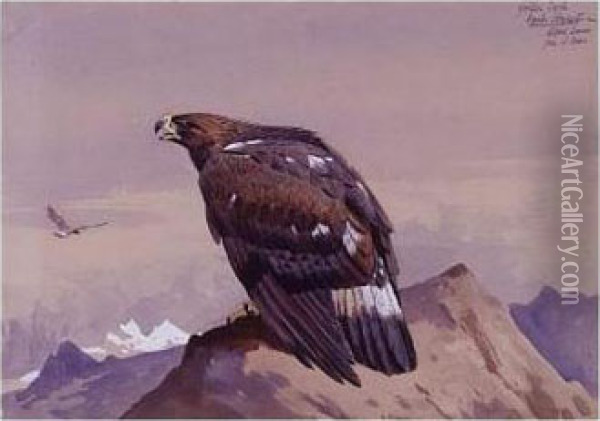 Golden Eagle Oil Painting - Archibald Thorburn