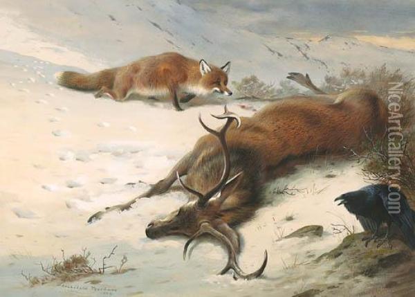 The Fox, The Raven And The Dead Stag Oil Painting - Archibald Thorburn
