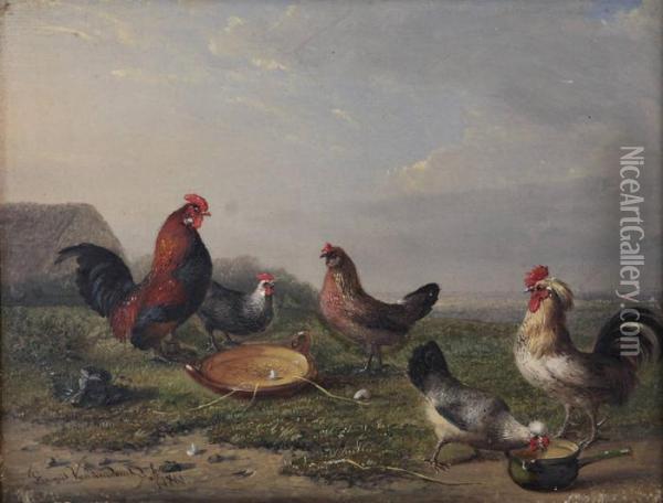 ````````coqs Oil Painting - Franz van Severdonck