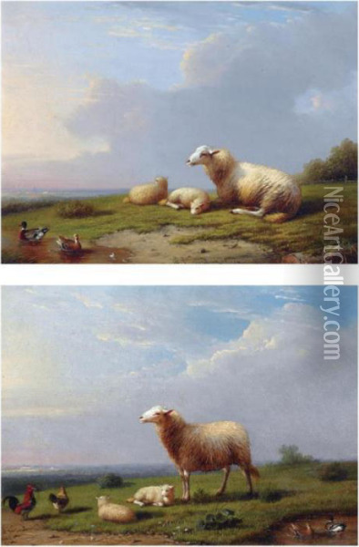 Sheep Resting With Ducks In A 
Landscape; Sheep And Chickens Restingin A Landscape (a Pair) Oil Painting - Franz van Severdonck