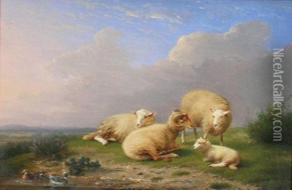 Sheep At Rest Beside A Pond Oil Painting - Franz van Severdonck