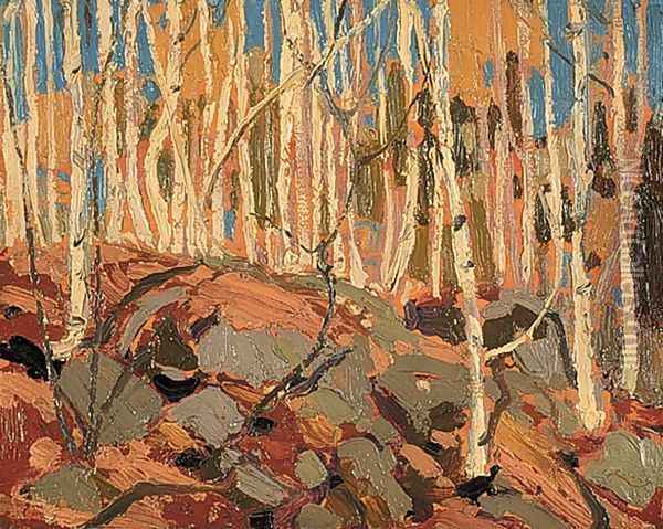 Birches Oil Painting - Tom Thomson
