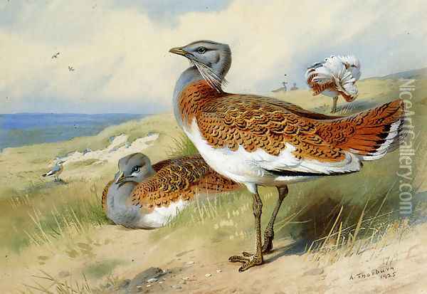 Great bustards Oil Painting - Archibald Thorburn