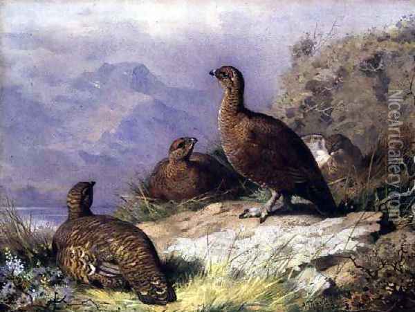 Red Grouse on the Shore of a Loch Oil Painting - Archibald Thorburn
