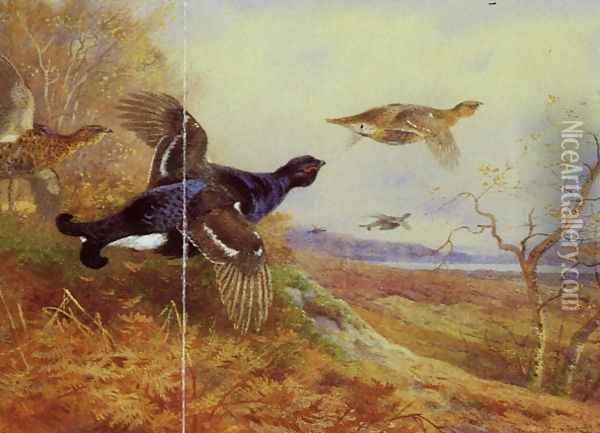Blackgame in Flight Oil Painting - Archibald Thorburn