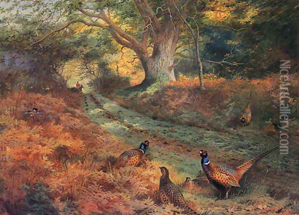 The Bridle Path Oil Painting - Archibald Thorburn