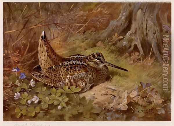 Woodcock and Dog Violets Oil Painting - Archibald Thorburn