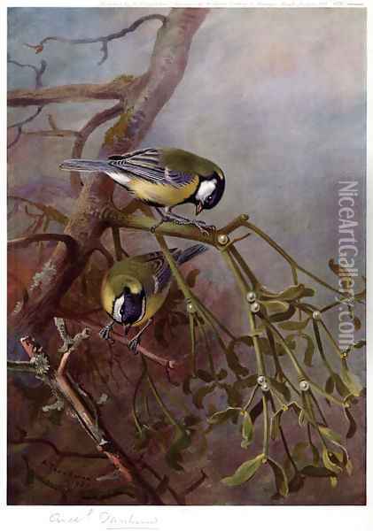 Great Tits and Mistletoe Oil Painting - Archibald Thorburn